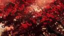 Discovery splash banner for Twilight | DMs ∘ Egirls ∘ VCs ∘ Non Dating ∘ Emotes Discord server
