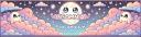 Discovery splash banner for insomnia π©β‘πͺ chatting β¦ eboys β¦ egirls β¦ social β¦ emojis β¦ stickers β¦ vc β¦ soundboard β¦ yapping Discord server