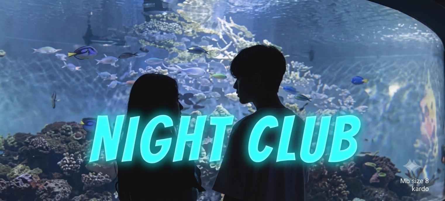 Discovery splash banner for zZ. NightClub đȘ | Hangoută» Socială» Animeă»Chillă»Voice Chată»Nitro ă»Dating | Discord server