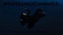 Discovery splash banner for AVAEILISHOCONNELL Discord server