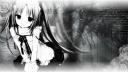 Discovery splash banner for /ᐠ schizolusie ᐟ\ Discord server