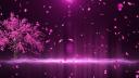 Discovery splash banner for ISHQ🌷India - Chilling Indian Community • Hindi • Active • desi (fun) • Hangout • Vc Discord server