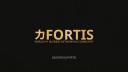 Discovery splash banner for Fortis Business Discord server