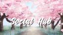 Discovery splash banner for Social Hub ˖༺ ♡ ༻˖ ࣪ Discord server