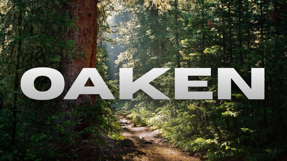Discovery splash banner for Oaken Discord server