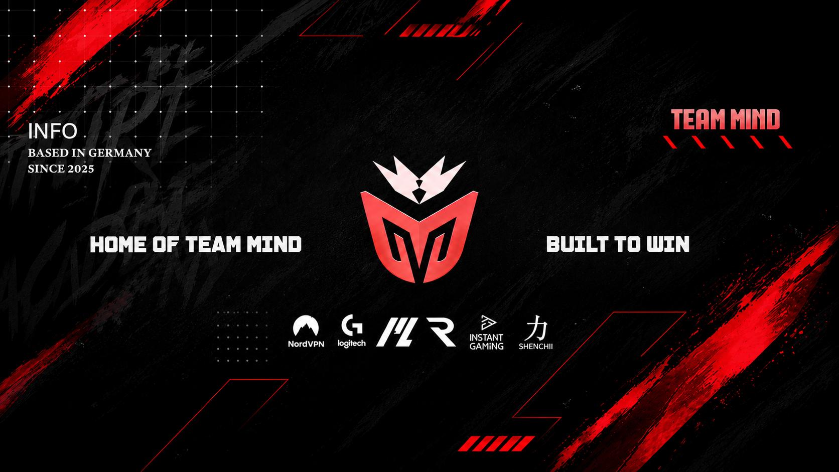 Discovery splash banner for Team Mind - Community Discord server