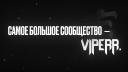 Discovery splash banner for viperr 06.06.26 Discord server