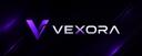 Discovery splash banner for Vexora | GV 200 PLN Discord server