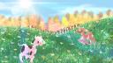 Discovery splash banner for Moo Discord server