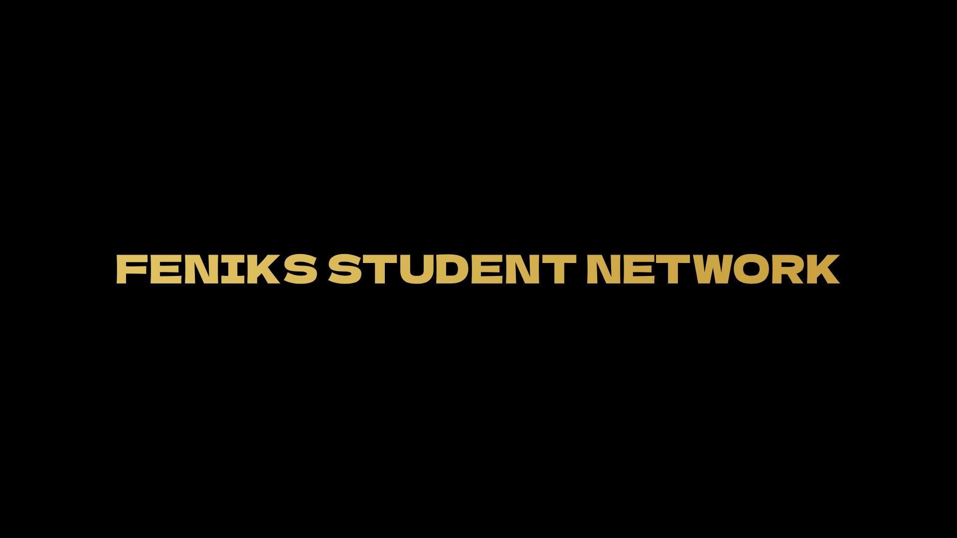 Discovery splash banner for FENIKS NETWORK Discord server