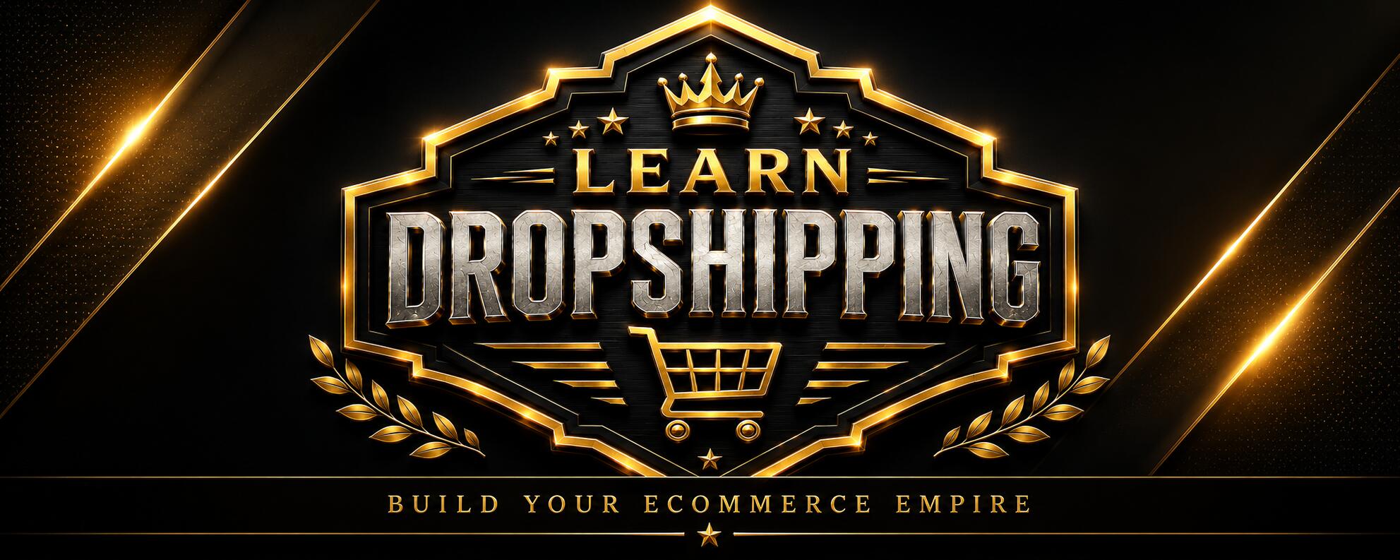 Discovery splash banner for LEARN DROPSHIPPING Discord server