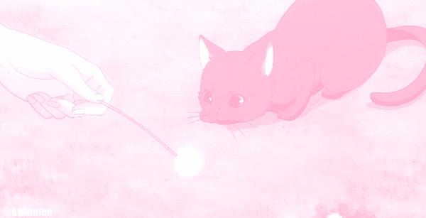Discovery splash banner for Summer Heaven Discord server