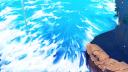 Discovery splash banner for Pirate King Online Discord server