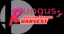 Discovery splash banner for Changed Harvest Discord server