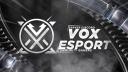 Discovery splash banner for VOX ESport ★ Discord server
