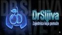 Discovery splash banner for ✦ Dr Sljiva ™ Discord server