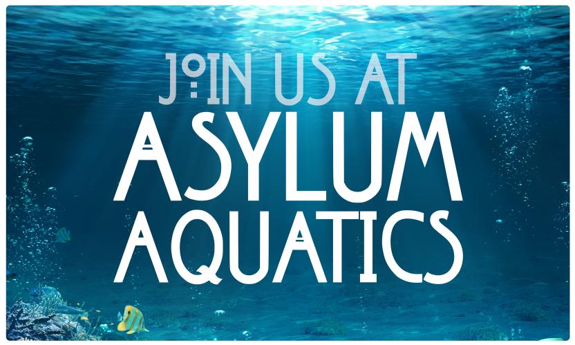 Discovery splash banner for Asylum Aquatics Discord server