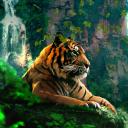 Discovery splash banner for Bengal   [.gg/bangladeshi] Discord server