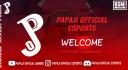 Discovery splash banner for PPJ ESPORTS š®š³ Discord server