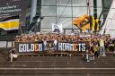 Discovery splash banner for Golden Hornets Discord server