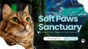 Discovery splash banner for Soft Paws Sanctuary 🐾 Discord server