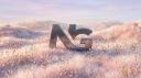 Discovery splash banner for Network Graphics Discord server