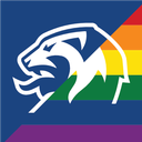 Discovery icon for Norsk Fotball Discord server