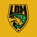 Discovery icon for LBM® Mamoball #5K Discord server