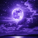 Discovery icon for 🌙 ᯓ 𝑴𝒊𝒅𝒏𝒊𝒈𝒉𝒕 𝑩𝒍𝒆𝒔𝒔𝒊𝒏𝒈 ✦ ִ ֶ֢࣪⋆ Discord server