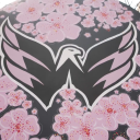 Discovery icon for Washington Capitals Discord server