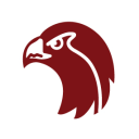 Discovery icon for RedFalcon Modz Discord server