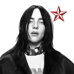 Discovery icon for Billie Eilish Discord server